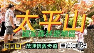 太平山上車泊哪邊最好？   跟著凡走 |  FanZou Today