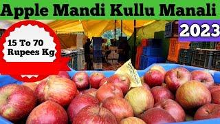 Apple Mandi of Kullu Manali Himachal Pradesh/ How To buy from fruits & vegetables market of Kullu.