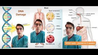 Radiation Sickness EXPLAINED