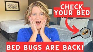 How to Check Your Hotel Room for Bed Bugs (4 Must Know Tips)