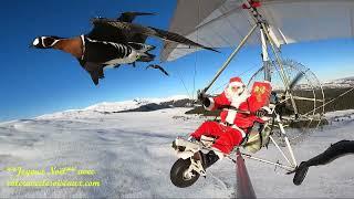 Noël en Vol avec les Oies Sauvages en Auvergne Rhone-Alpes