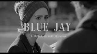 all too well | blue jay (2016) sarah paulson