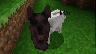 smile jpg in minecraft