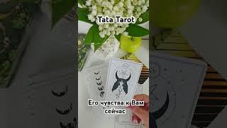 Его чувства к Вам сейчас ️ #обряды #талисмантаро #таро #таролог #эзотерика #tarot