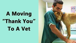 50 Adorable Moments When Vets Met the Cutest Pets and Couldn't Resist Taking a Picture