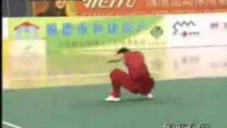 9th All China Games 2001 Nanquan - Chen Lun