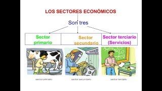 Sectores económicos