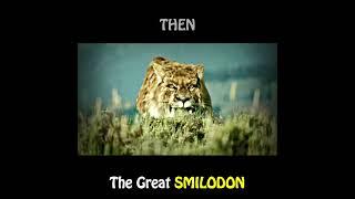 SMILODON - Sigma Rule  #Shorts