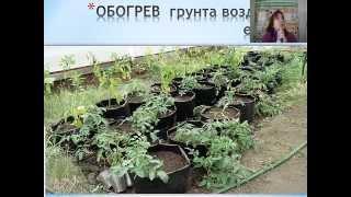 Теплые грядки 2015