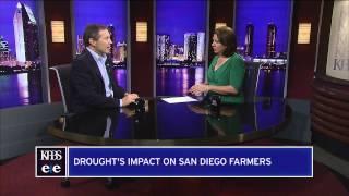 Some San Diego Farmers Shut Off Water In Prolonged Drought