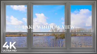 4K lake Window View with animals on a sunny day - Relaxing, Calming, Ambience,