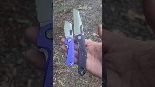 All Purple Wednesday Carry! #shorts #youtubeshorts #knives