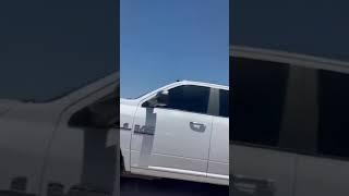 Cow Jumps From Moving Trailer