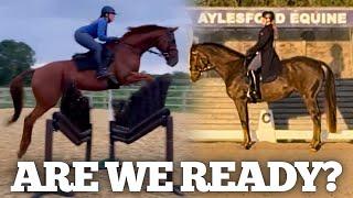 BTS Getting ready for my first international WITH 2 HORSES - Osberton Prep FEI 1* & 2* Eventing Vlog