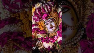JAY MAA MELDI SARKAR  #meldi #shorts #short #meldimaa