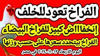 اسعار الفراخ البيضاء اليوم/ سعر الفراخ البيضاء اليوم الاربعاء ١٣-١٠-٢٠٢٤ في مصر جمله وقطاعي