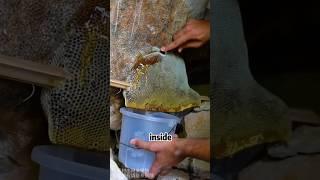 The most amazing handmade honey harvesting method.# best