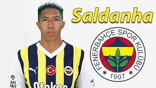 Matheus Saldanha ● Fenerbahce Transfer Target 🟡 Best Goals & Skills