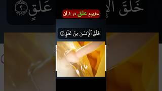 مفهوم (علق) در قرآن Quran - خلقت انسان