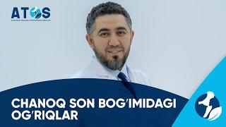 Son chanoq bo'g'im og'rig'i haqida eshitganmisiz?