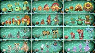 All My Singing Monsters Growing Up Evolution