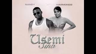 Usemi Sina (Nandy feat. Harmonize) - Instrumental