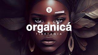 ORGANICA - Finest Organic & Ethno Deep House Music by Tibetania