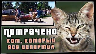 Кот, который все испортил | ПОТРАЧЕНО | приколы
