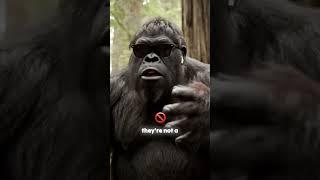 Bigfoot invests in Crypto! 
