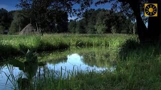 SPREEWALD - das "knackig - grüne Spreeparadies" Teil 3 Lübben-Schlepzig-Spreewälder Gurken