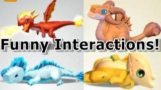 ALL Shop Dragon SPECIAL Interactions! - Dragon Mania Legends (Funny Interaction Compilation)