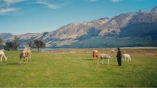 NEW ZEALAND | our South Island experience 