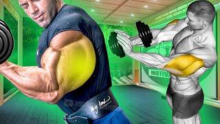 7 лучших упражнений для трицепса только с гантелями