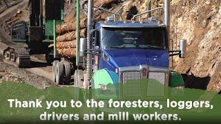 Thanking the Forestry Workforce: So Many Essential Products Start with Trees