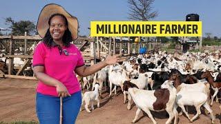 How To Increase Profits On Your Goat Farm - This Is What Worked For Me