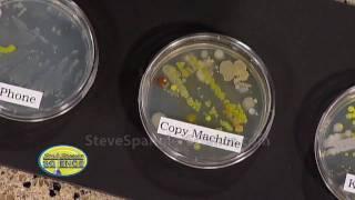 Growing Bacteria - Petri Dish