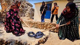 Snake in the house: Fariba and Akram killed the annoying snake