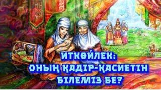 Иткөйлек: оның қадір-қасиетін білеміз бе? Салт-дәстүр сөйлейді. Аудиокітап