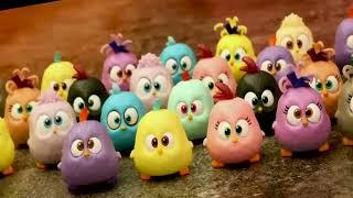 The Strangeness of Angry Birds Hatching Hatchies
