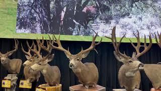 Best of the Western Hunting Expo