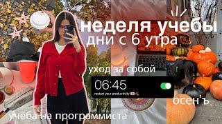 МОЯ НЕДЕЛЯ УЧЕБЫ С 6 УТРА: study vlog | утренняя рутина, контрольные ₊˚