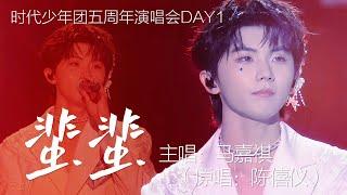 【TNT时代少年团 马嘉祺】2024.11.23 时代少年团五周年演唱会DAY1 |  《蜚蜚》 主唱：马嘉祺（原唱：陈僖仪）【Ma JiaQi】