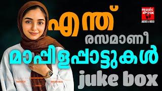 എന്ത് രസമാണീ മാപ്പിളപ്പാട്ടുകൾ... Mappila Songs | Old Mappilappattukal | Malayalam mappila songs