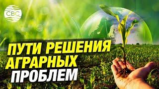 Каким должно быть устойчивое сельское хозяйство?