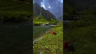 Which place has more vibes #aesthetic #travel #vibes #aurora #asmr #4k