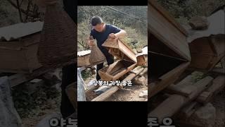 벌꿀을 이렇게 모은다고요? 양봉의 비밀 대공개!