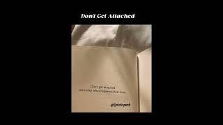 Don’t Get Attached… Remember What Happened Last Time  #quickspark #youtubeshorts #youtube