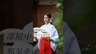 部屋中の邪気を祓う音 #スピリチュアル #スピリチュアルメッセージ #スピリチュアルカウンセラー #浄化 #波動 #運気 #邪気祓い