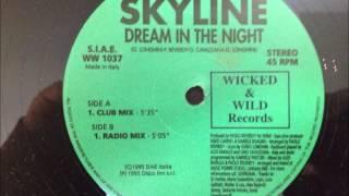 Skyline - Dream In The Night