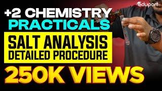 Plus Two Chemistry Practicals | Salt Analysis | Detailed Procedure Including Experiment | Plus Two